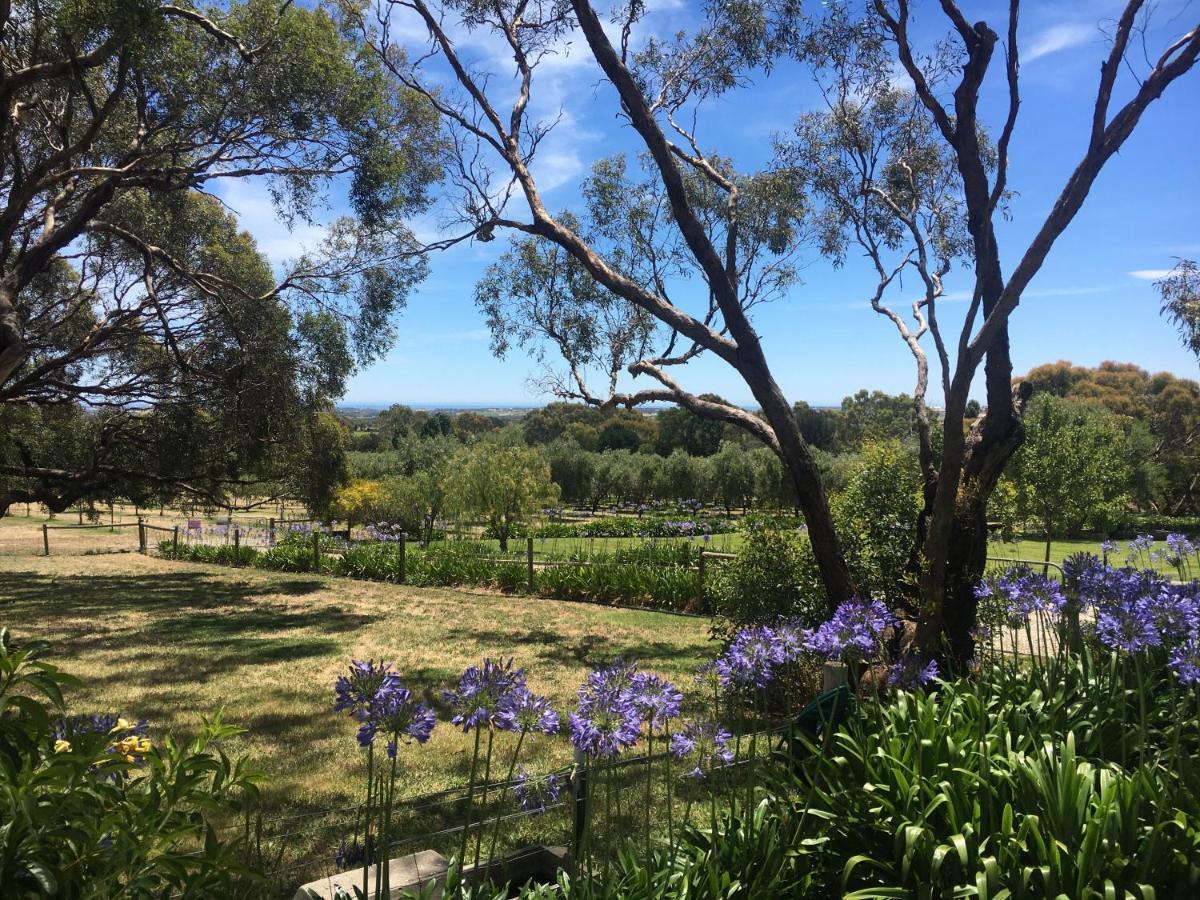 The Farm Willunga Bed & Breakfast Exterior photo